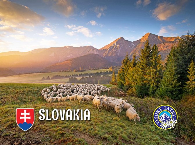 Slovakia - ovečky